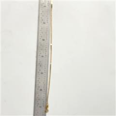 Gold Bracelet 14K Yellow Gold 1.9g